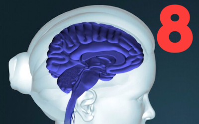 Misconception 8: To Induce Memory Reconsolidation and Erasure, Therapists Must Follow a Set Protocol Derived From Laboratory Studies