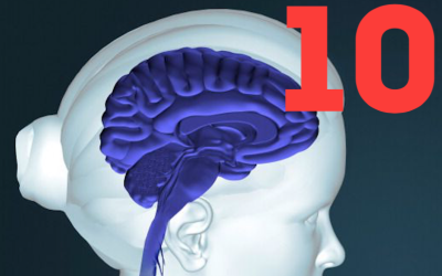 Misconception 10: Carrying Out the Steps Required for Reconsolidation and Erasure Sometimes Fails to Bring About a Transformational Change, Which Means That the Reconsolidation Process Is Not Effective for Some Emotional Learnings