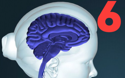 Misconception 6: What Is Erased in Therapy Is the Negative Emotion That Became Associated With Certain Event Memories, and This Negative Emotion Is Erased by Inducing Positive or Neutral Emotional Responses to Replace It