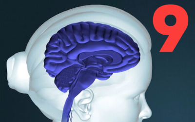 Misconception 9: A Long-Standing Emotional Reaction or Behavior Sometimes Ceases Permanently in Psychotherapy Without Guiding the Steps That Bring About Erasure Through Reconsolidation, and This Shows That Reconsolidation Is Not the Only Process of Transformational Change