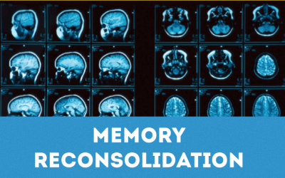 Dr James Alexander on Memory Reconsolidation