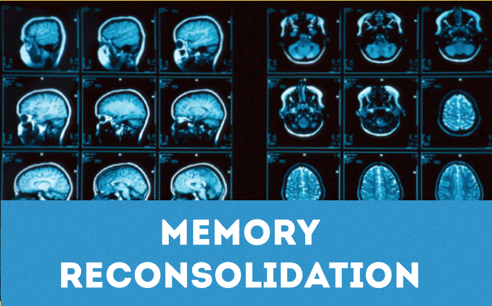 memory reconsolidation Reprogramming Mind