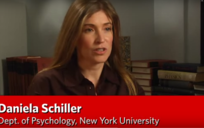 Erase Fear Memories: Schiller on Memory Reconsolidation