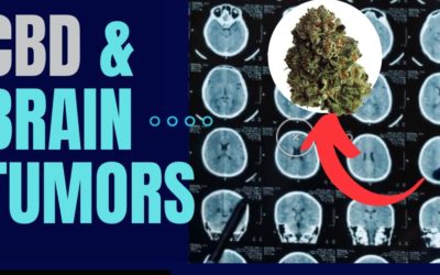 CBD / THC Effects on Brain Tumors, Endocannabinoid System: Dr Sanjay Gupta Cannabis vs Seizure Drugs