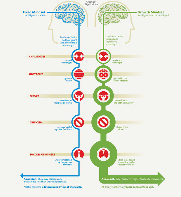 Minding Success: Navigating the Power of Dwecks Growth vs Fixed Mindset