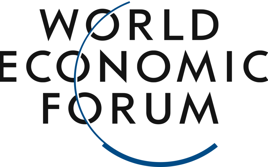 What is the Purpose of the WEF?